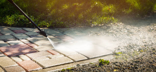 Best Building Exterior Washing  in Warroad, MN